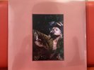 flowers for vases / descansos petals for armor deluxe vinyl hayley williams