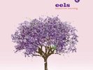 Eels - Tomorrow Morning vinyl LP NEW/SEALED IN STOCK