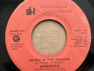 unknown roots ARAWAK Music In The Making 45 New Day