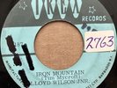 LLOYD WILSON JR. Iron Mountain 45 Grazing In The Grass REGGAE  7