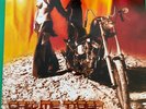 Red Aim – Call Me Tiger 10