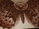 The Hollies-Butterfly,PCS 7039,VG/VG+