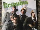 RARE THE REMAINS-ST-BN26214 EPIC- LP ORIGINAL EX