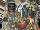 The Revivalists POUR IT OUT INTO THE NIGHT New Sun Marbled Colored Vinyl LP