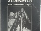 Aerosmith Look Homeward Angel New York 8-29-75 Live Vinyl LP