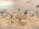 Azymuth - Early Days. LP Vinyl Album Reissue.  Rare Jazz