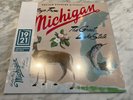 Sufjan Stevens Michigan 1921  Centenary Red Vinyl LP New & sealed HMV