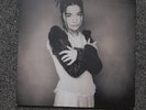 BJÖRK – Human Behaviour remixes 12” vinyl record in picture sleeve 1993