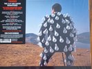 PINK FLOYD - Delicate Sound Of Thunder (remastered) - Vinyl (2xLP) Perfect Cond.