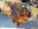 madonna maxi 45t ray of light neuf scellé