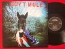 GOV'T MULE   SELF TITLED 2 LP (2011) EX/NM 180G MOVLP110 BLUES SOUTHERN ROCK
