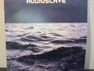 Audioslave Out of Exile (Vinyl) LP