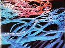 HAIRY CHAPTER Can't Get Through German LP 1971 German hard prog rock reissue new