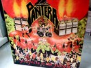 PANTERA projects in the jungle LP 1984 US  translucent Vinyl ROCK