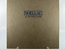 Shellac - At Action Park Vinyl Record