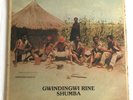 THOMAS MAPFUMO & THE BLACKS UNLIMITED Gwindingwi Rine Shumba - Zimbabwe Afro LP