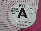 Sandy Shaw UK Demo I'll Stop At Nothing / You Cant Blame Him Pye 1965