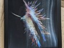 SIGNED - Sub Focus - SIGNED EVOLVE LENTICULAR LP LTD EDITION