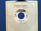 THE DOVERS I Could Be Happy 1965 7