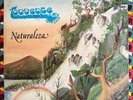 GRUPO TORRENTE - Naturaleza / NICARAGUA LATIN SOUL FUNK SALSA LP Poder del Alma