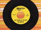 The Roosters Aint Gonna Cry Anymore Rosebush Enith 45 Record Garage Punk SCARCE
