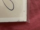 Ner, Blkpnk, LS Yellow, Pink LPs Inc P&p