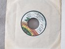 Jimmy Cliff The Maytals You Can Get It If You Really Want Sweet and Dandy 45rpm