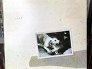 Tested: Fleetwood Mac – Tusk 1979 Warner Bros. Classic Rock 2xLP -  VG++/VG+