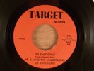 Dr. T. & The Undertakers  It's Easy Child/Times Have Changed  Garage 1967 Target
