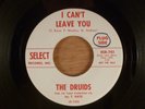 The Druids  I Can't Leave You/Girl Can't Take A Joke  Promo  Garage, Beat