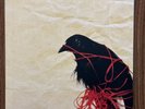 DEATH CAB FOR CUTIE - Transatlanticism (180 g. Black Vinyl, 2013 Reissue)