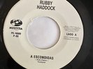 RUBBY HADDOCK - A Escondidas - SALSA 45 promo