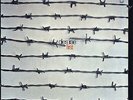 dies irae - first ( D  1971 ) Vinyl LP reissue- black Vinyl