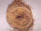 WILCO - A Ghost Is Born - Vinyl (gatefold 2xLP)