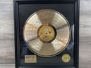 Elvis Presley 50th Anniversary Record 24K Gold Plated 16x18” Framed Certfied