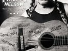 Willie Nelson - The Great Divide LP NEW