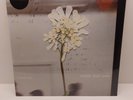 Daughter Stereo mind game NEW vinyl with signed print on Eco Coloured Vinyl