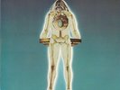 Weather Report - I Sing The Body Electric / VG+ / LP, Album
