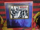 King Harvest 