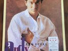 Andy Lau 劉德華 - 真我的風采 Korea LP Vinyl 1993 With Insert and Sticker