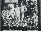 The Grey Wolves Catholic Priests Fuck Children