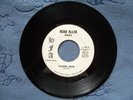 Beau Allen...Pusher Man / Fallen Angel...Garage Psych Rock... 45 rpm 1968
