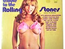 The Winstons - Tribute To The Rolling Stones - 1970's US LP   Garage  Cheesecake