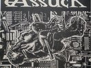 ASSUCK-MISERY INDEX -LP POLLUTE 34 1997 US VINYL EX/EX