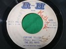 HEAR  RARE  GARAGE SOUL RAW BLUES 45 Del-Rays Fortune Teller Dimples R-H