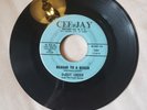 45 RPM VOCAL GROUP/DeROY GREEN AND THE COOL GENTS/BEGGAR TO A QUEEN   VG++