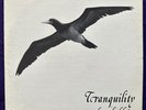 DAN HOLDER Tranquility LP PRIVATE Xian Loner Folk Soft Psych RARE Listen HEAR