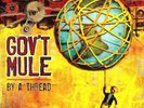 2xLP Govt Mule By A Thread TRANSLUCENT ORANGE + OIS NEAR MINT Evil Teen