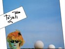 TOYAH SHEEP FARMING IN BARNET NEW LP
