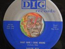HEAR Sailor boy 45 What Have I Done Wrong DIG 126 R&B blues EX